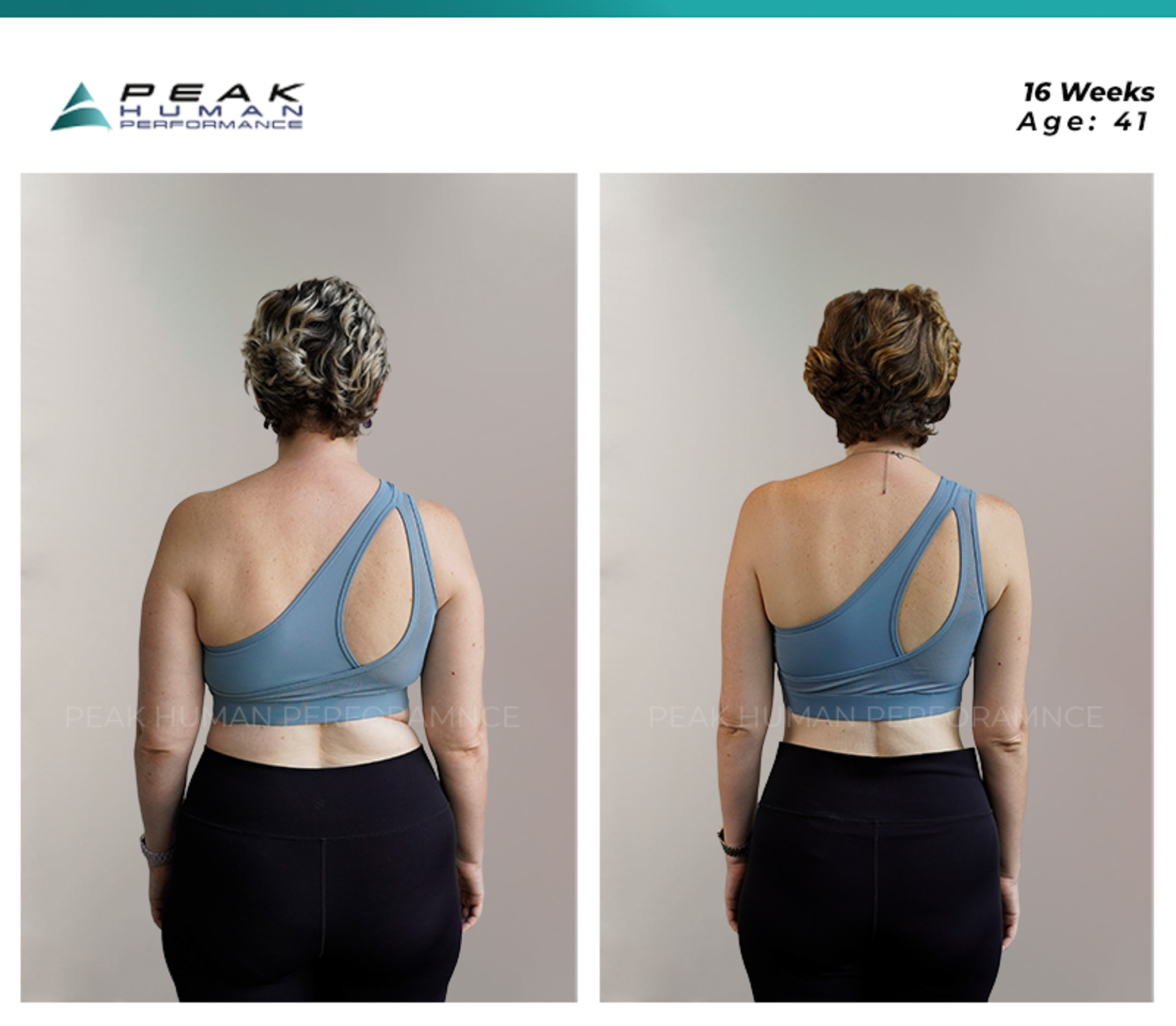 PHP - B&A - darya back web