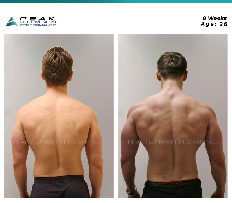 Sebastian - back
